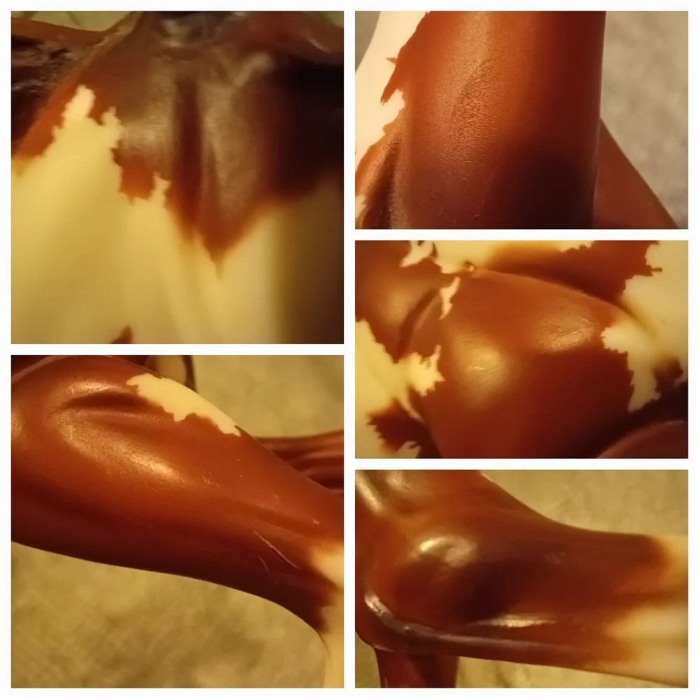 Breyer Hidalgo - Picture 7 of 16